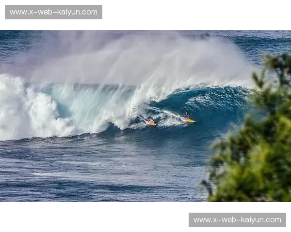 冲浪直播:把海浪变成你的人气舞台 冲浪直播:把海浪变成你的人气舞台